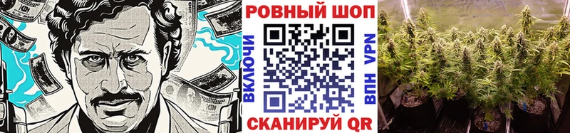 Купить наркотик аптеки Междуреченск СК  ТГК  Бошки Шишки  Галлюциногенные грибы 