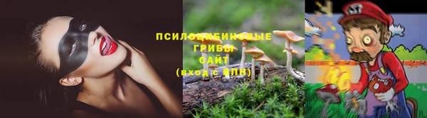 кокс Арсеньев