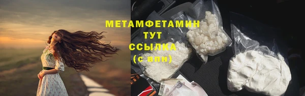 мяу мяу мука Кирсанов