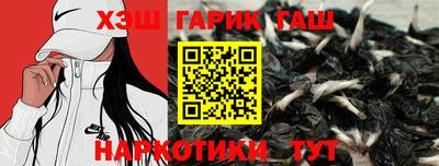 скорость Дубна