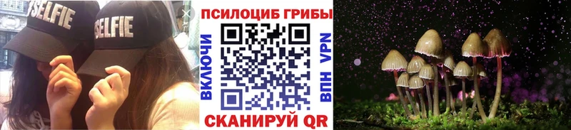 купить наркотики цена  Междуреченск  Галлюциногенные грибы Psilocybe 