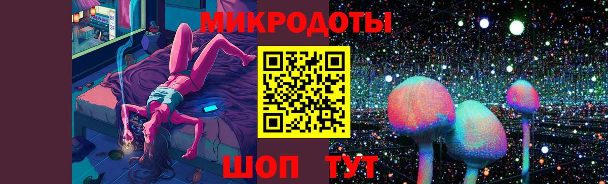 Псилоцибиновые грибы Cubensis Междуреченск