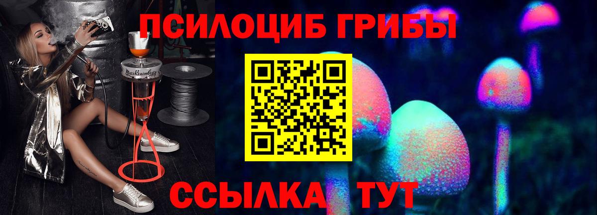 Междуреченск  Галлюциногенные грибы Magic Shrooms  Вход с VPN 
